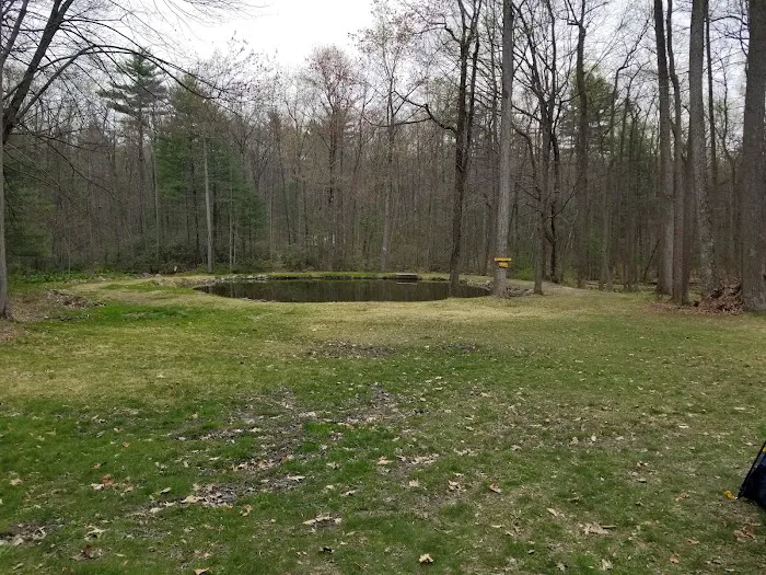 Camp Pioneer 5