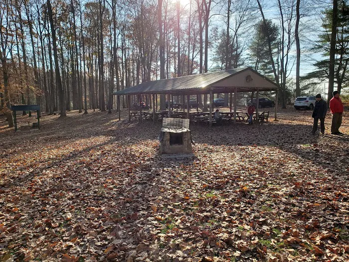 Camp Pioneer 6