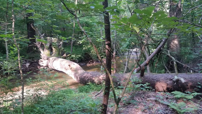 Cherokee Campground & Family 0