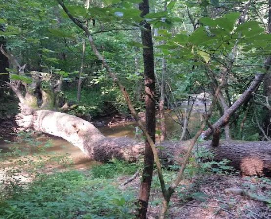 Cherokee Campground & Family