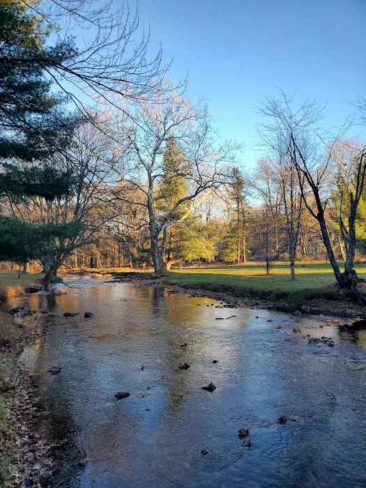 Mountain Creek Campground 2
