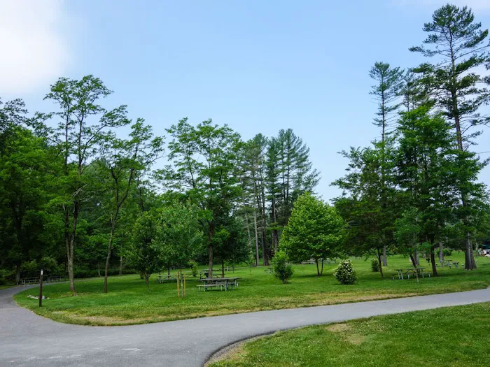 Pinegrove Furnace Group Campground 4