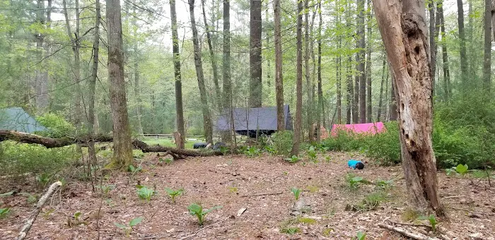 Pinegrove Furnace Group Campground 8