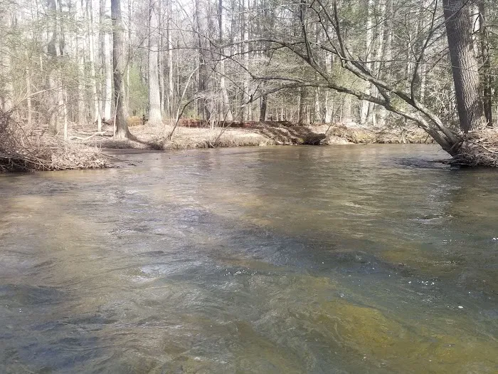 Pinegrove Furnace Group Campground 9
