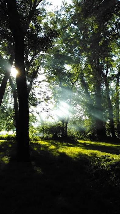 North River Campsite (SRTA) 2