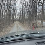 Tuscarora State Forest Campsite 097