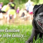 Paradise Stream Family Campground