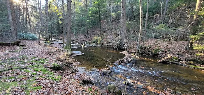 Campsite #88 0