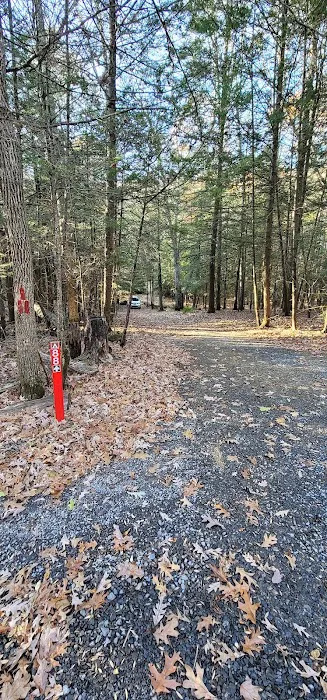 Campsite #88 1