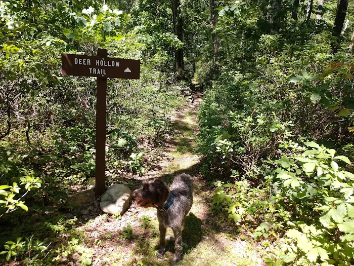Campsite #86 3