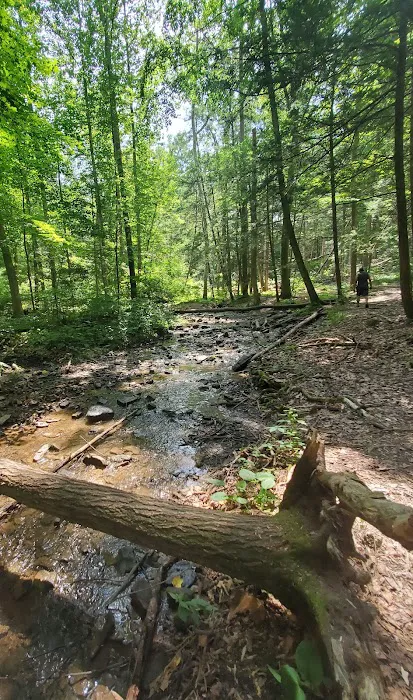 Little Buffalo State Park Recreation Hall 7