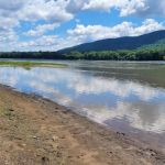 Dressler's Campsites