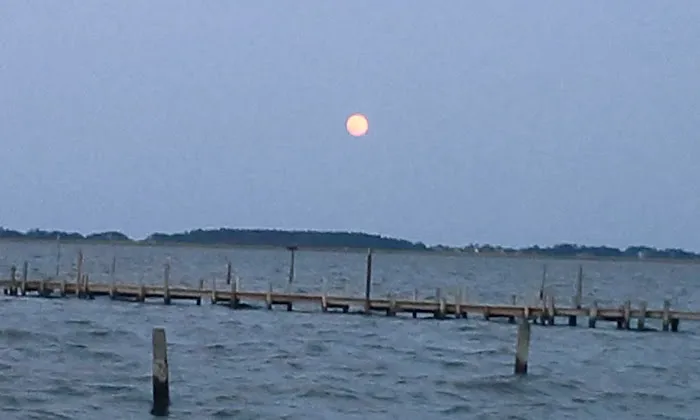 Bells Island Campground 3