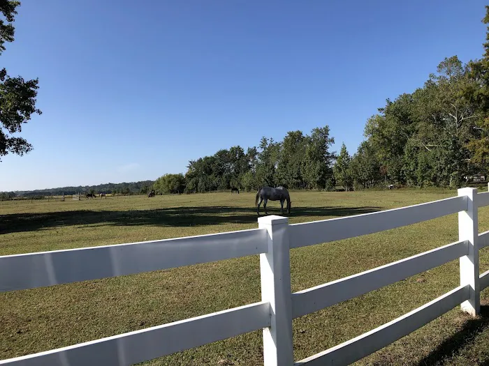 Chesapeake Campground 3