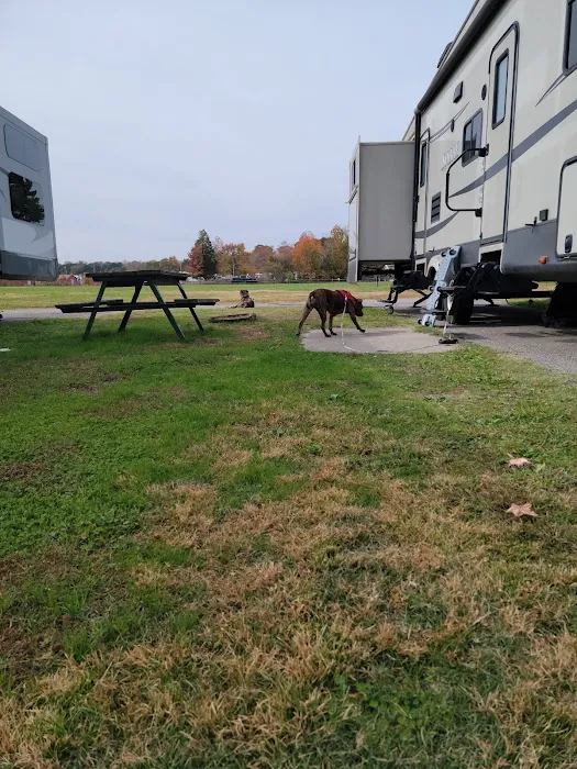 Chesapeake Campground 8