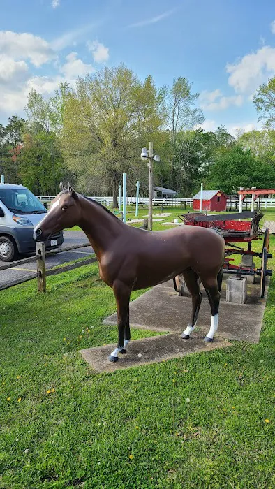 Chesapeake Campground 6