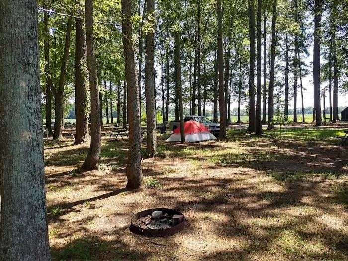 Chesapeake Campground 9