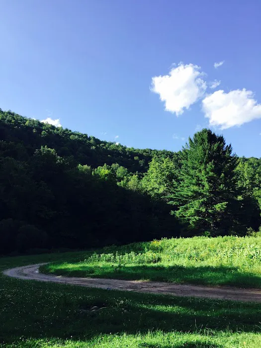 Almost Heaven Campground 8