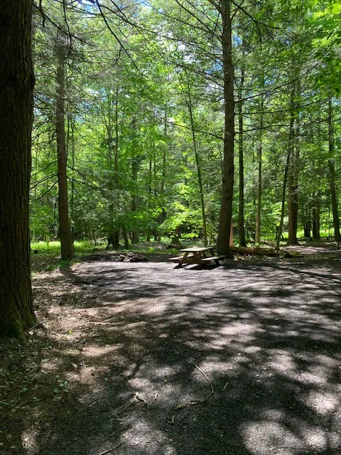 Falling Waters Campground home of Buttermilk Falls 1