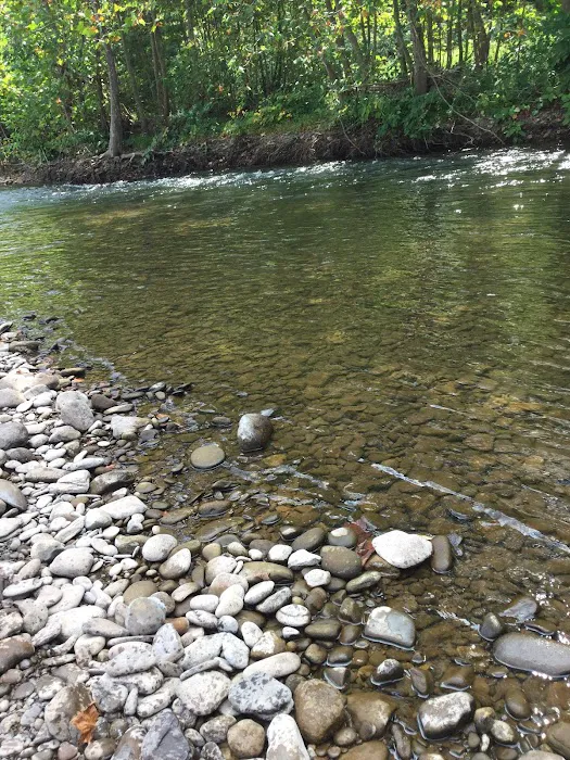 Creekside Manor Campground 7