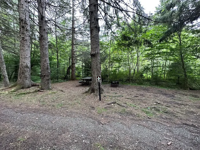 Masten Camping Area 3