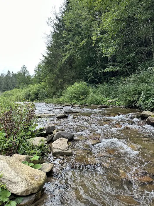 Masten Camping Area 9