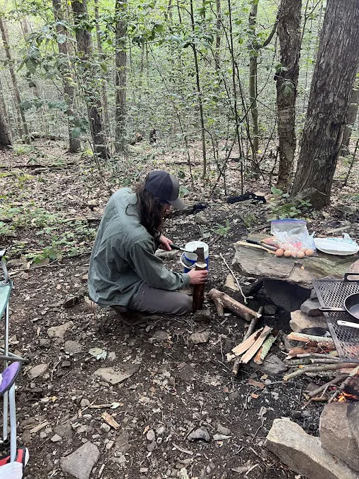 Loyalsock State Forest campsite #360 5