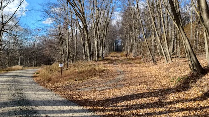 Loyalsock State Forest campsite #360 0