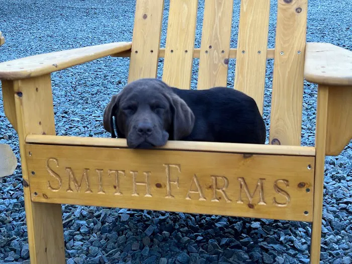Smith Farms 2 5