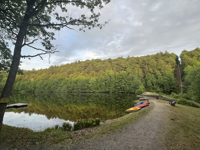 The Woods Camping Resort 6