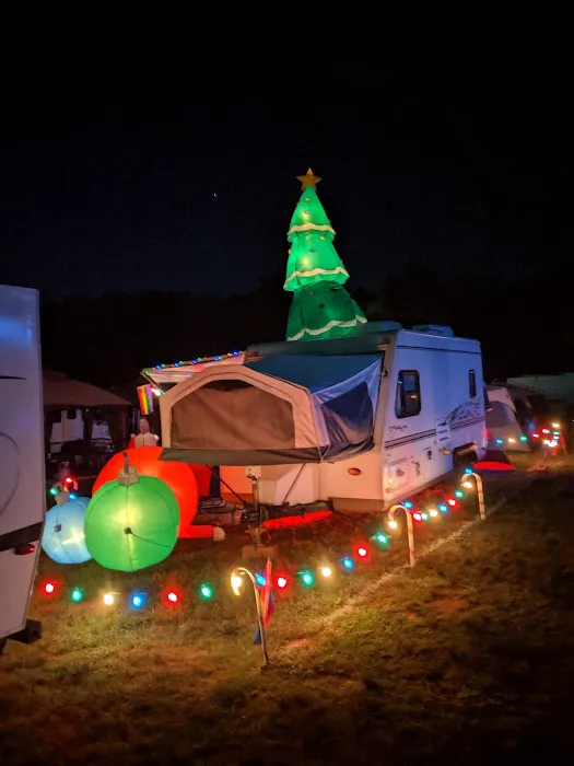 The Woods Camping Resort 7