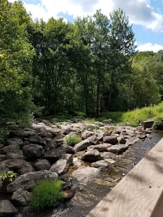 Camp Trexler 3