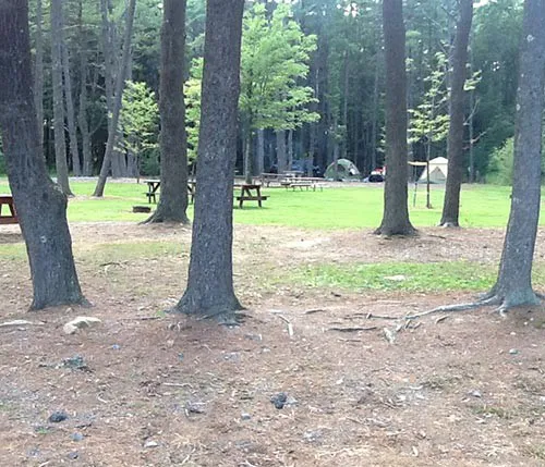 Evergreen Lake 5