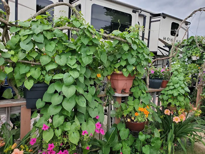 Pocono Vacation Park 9