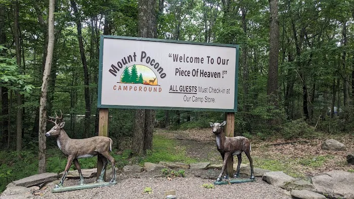 Mount Pocono Campground 8