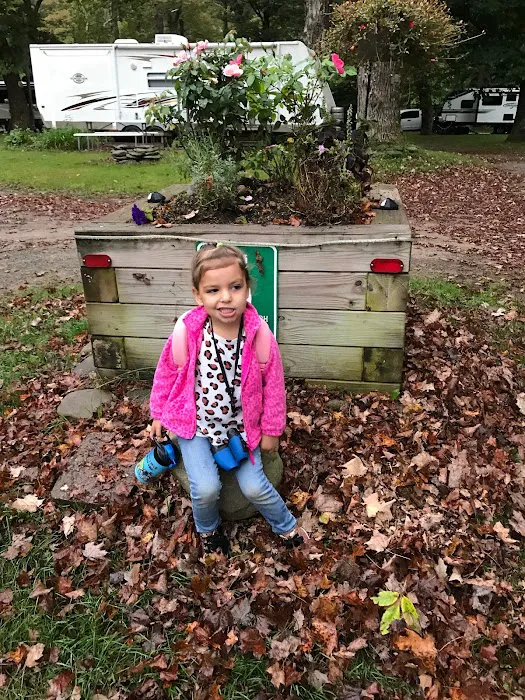 Butternut Grove Campsite 8