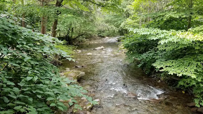 Russell Brook Campsites 3