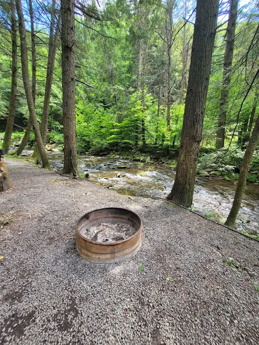 Russell Brook Campsites 6