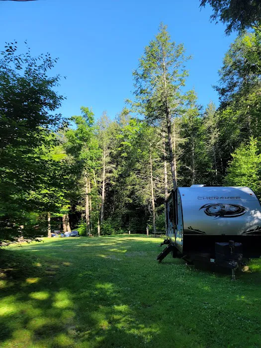 Russell Brook Campsites 4