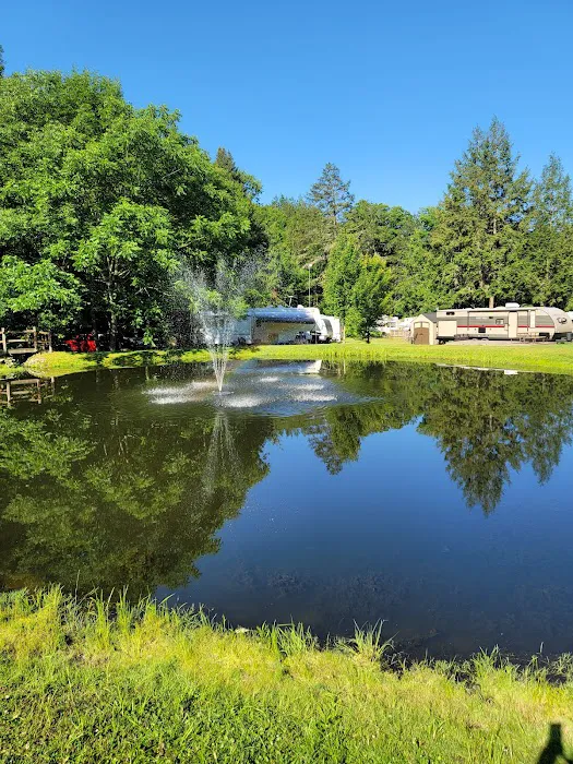 Russell Brook Campsites 8