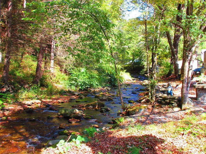 Russell Brook Campsites 9