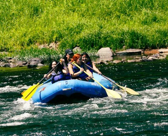 Narrowsburg Campground (Lander's River Trips)