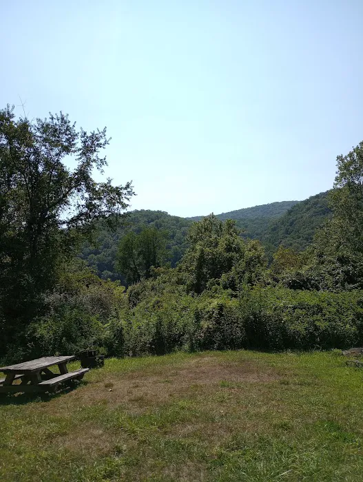 McClintic Point Primitive Campground 6