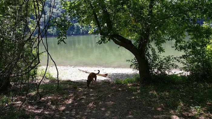McClintic Point Primitive Campground 9