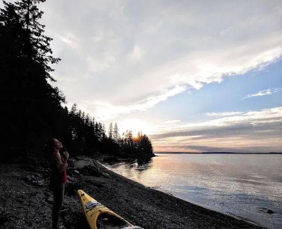 North End Campsite