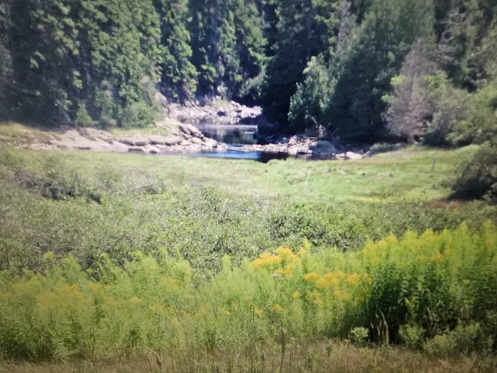 Henry Cove RV Park 9