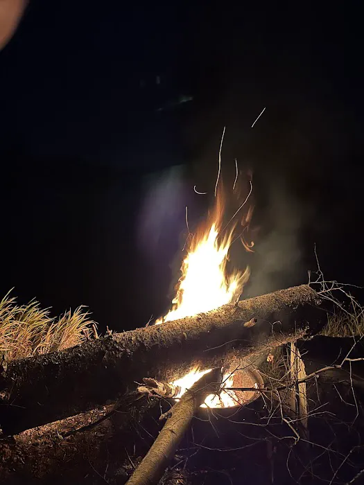 Timeout Wilderness Campground 6