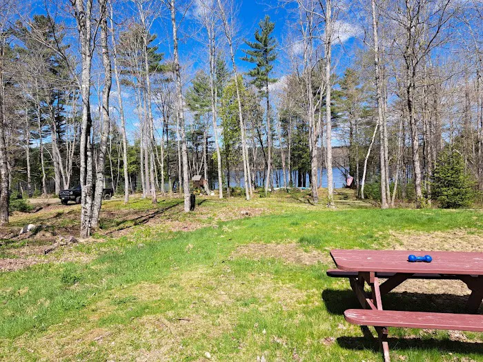 Point Passadumkeag River Cabins 1