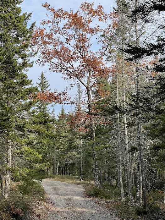 Balsam Hill Cabins 8