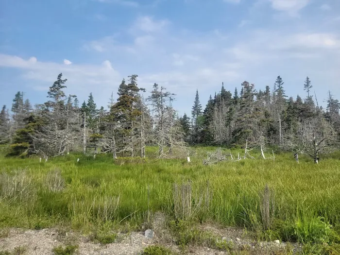 Jonesport Campground 6